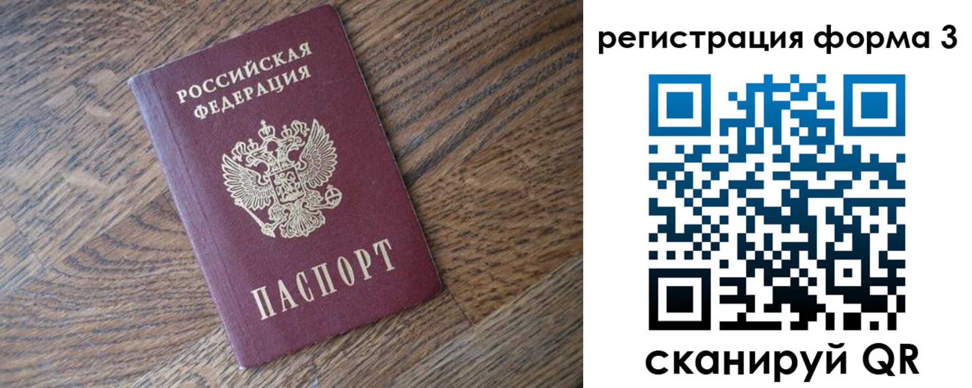 прописка законно в Коле
