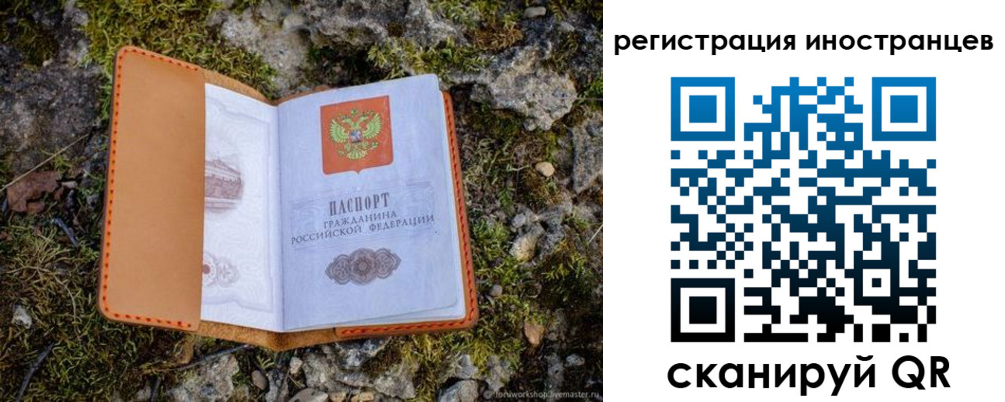 прописка паспорт в Коле