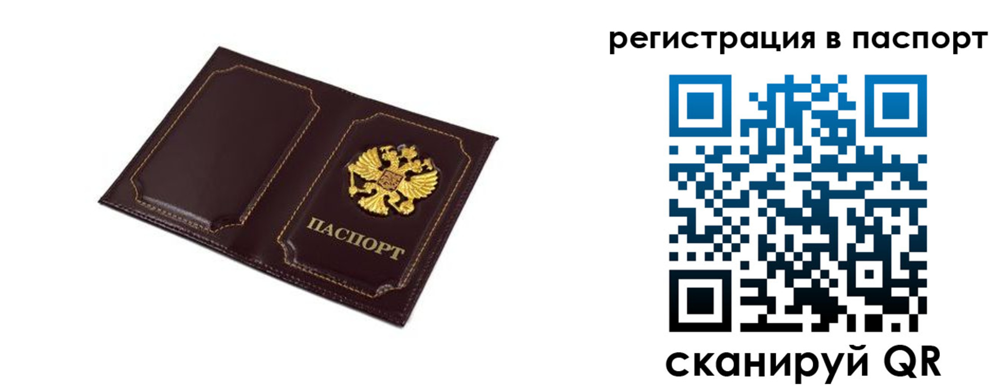 миграционный учет в Коле